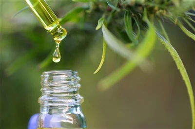 CBD vs THC: tout ce que vous devez savoir