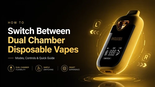 Comment basculer entre les vapes jetables à double chambre
