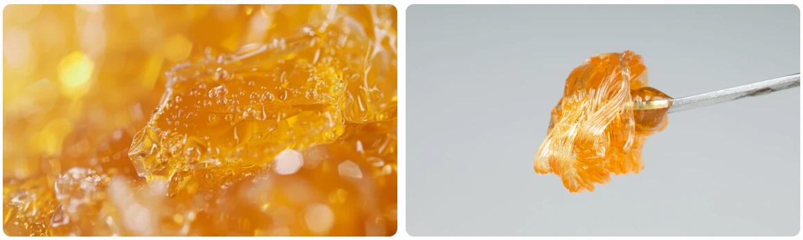 What Makes Live Rosin So Temperature-Sensitive? What Makes Live Rosin So Temperature-Sensitive?