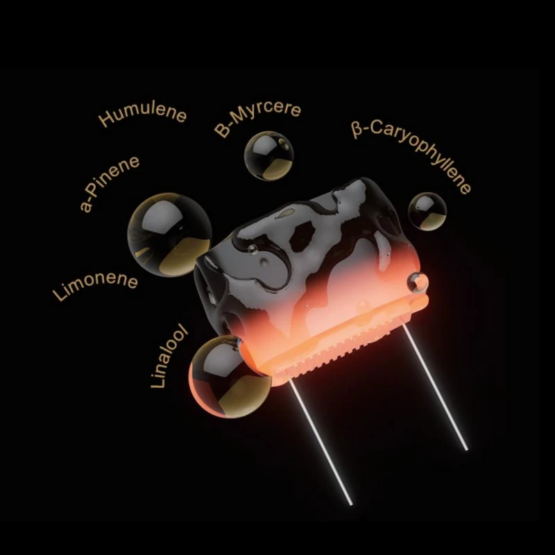 TMATE™ - Low Temp Ceramic Vaping AIO